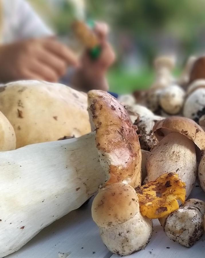Przystan Na Zagorzu - Apartamenty Nad Jeziorem Drezdenko Εξωτερικό φωτογραφία